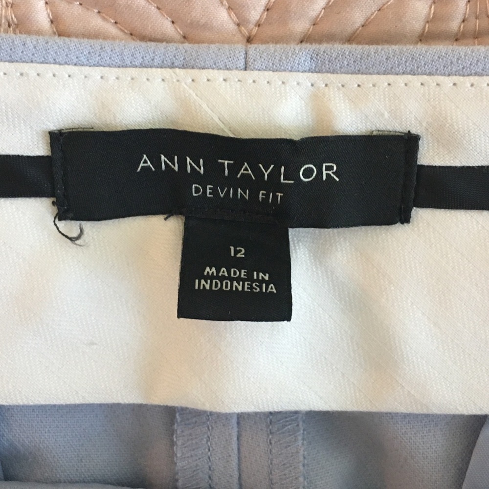 Ann Taylor Devin Pant